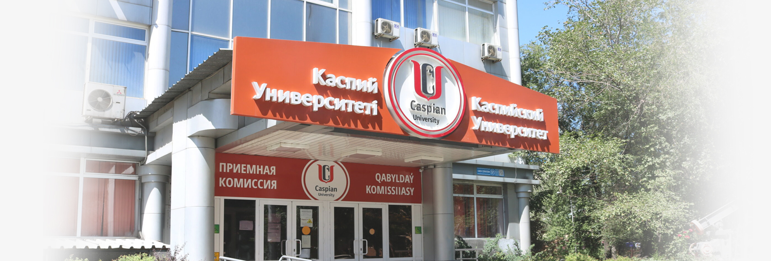 university