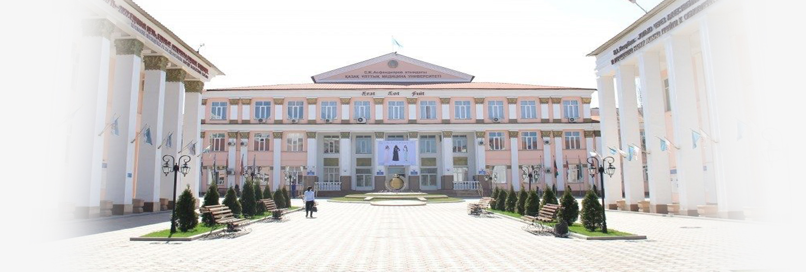 university